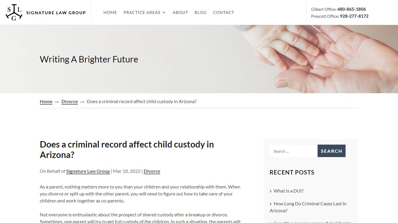 Does a criminal record affect child custody in Arizona?